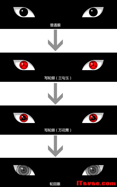 102146039136664.jpg
