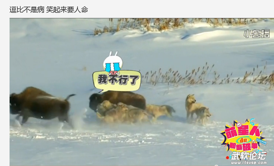 QQ截图20151108164803.png