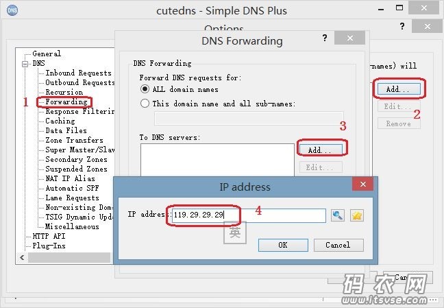 win-dns7.jpg