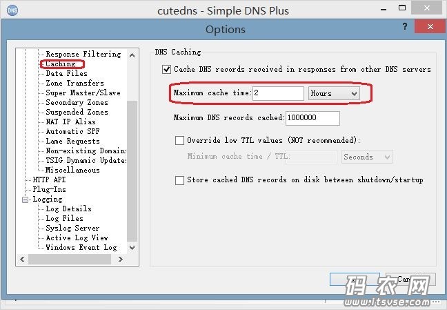 win-dns8.jpg